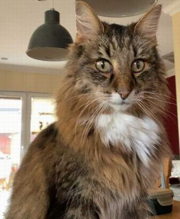 copyright: Wilma & Michael