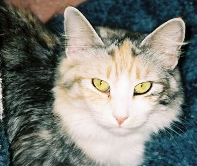 copyright: Mary Leventon