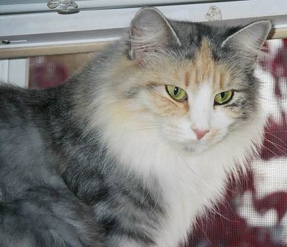 copyright: Mary Leventon