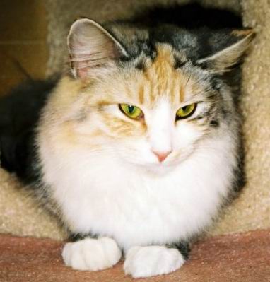 copyright: Mary Leventon