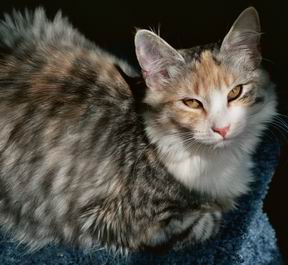 copyright: Mary Leventon