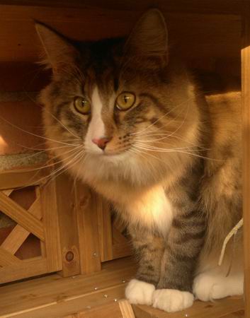 copyright: Nicole & Micha