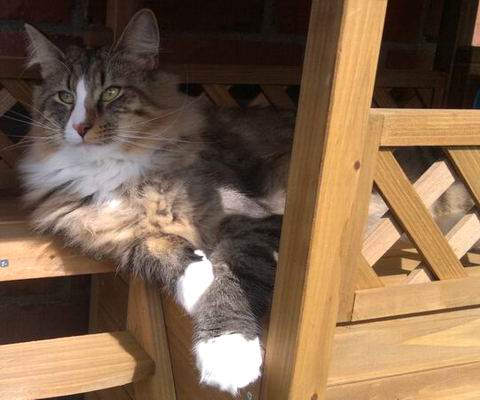 copyright: Nicole & Micha