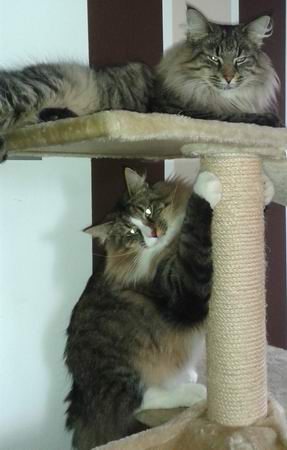 copyright: Nicole & Micha