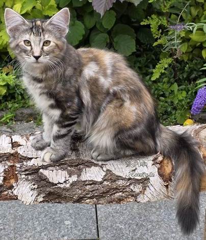 Undine - 3,5 Monate alt