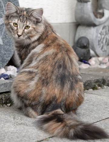 Undine - almost 7 months old