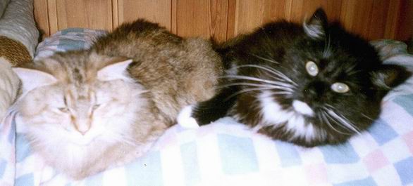 copyright: Fam. Hberle