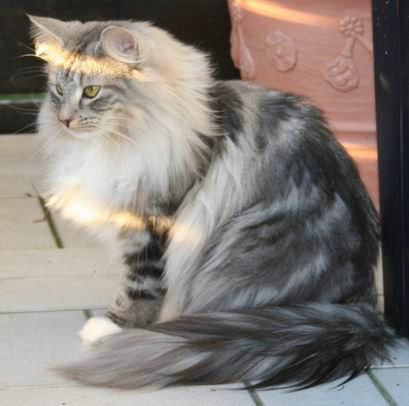 copyright: Fam. Kern