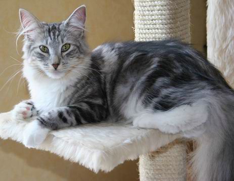 copyright: Fam. Kern