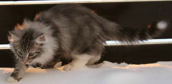 copyright: Fam. Kern