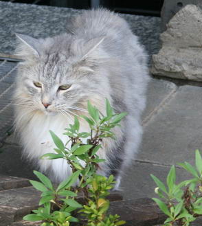 copyright: Michael & Heidi