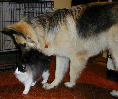 copyright: Jean Voges