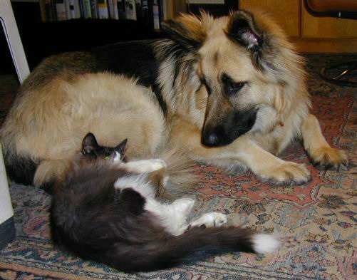 copyright: Jean Voges