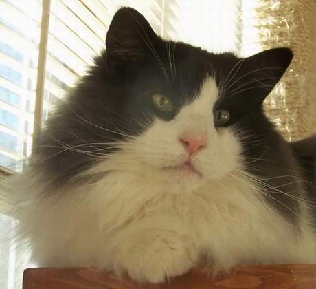 copyright: Jean Voges