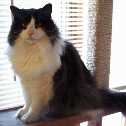 copyright: Jean Voges