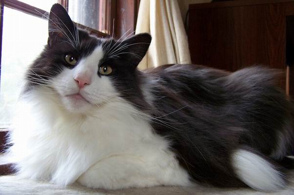 copyright: Jean Voges