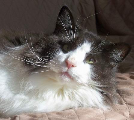 copyright: Jean Voges