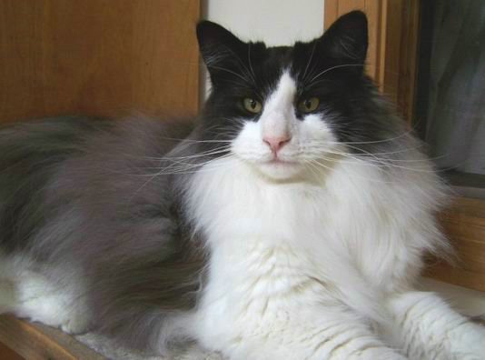 copyright: Jean Voges