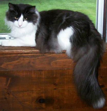 copyright: Jean Voges