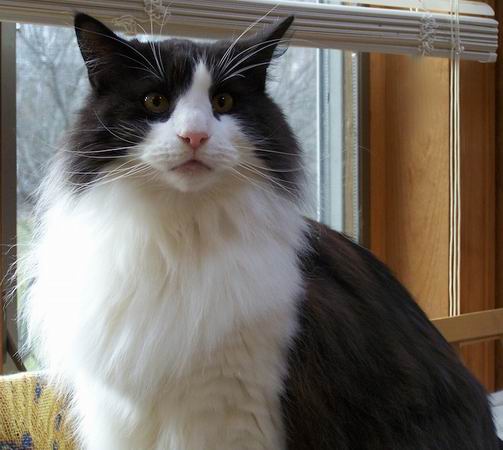 copyright: Jean Voges