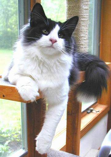 copyright: Jean Voges