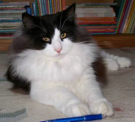 copyright: Jean Voges