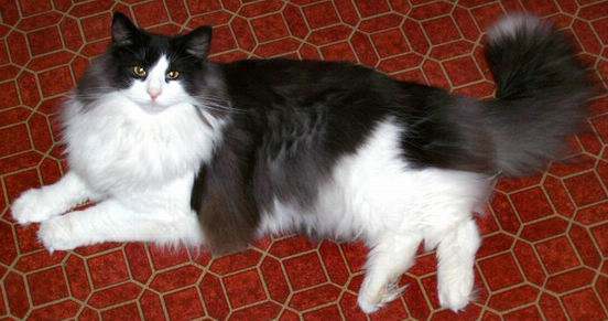 copyright: Jean Voges