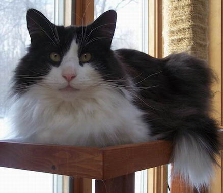 copyright: Jean Voges