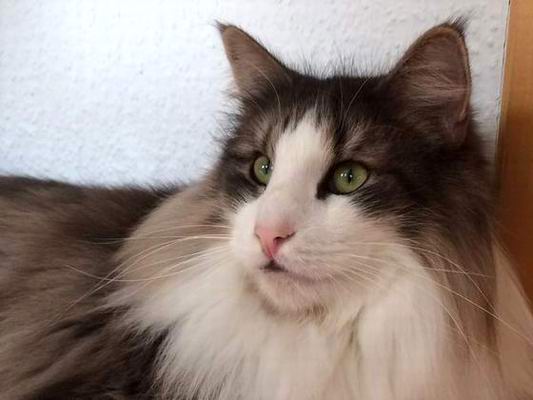 copyright: Doris & Jochen