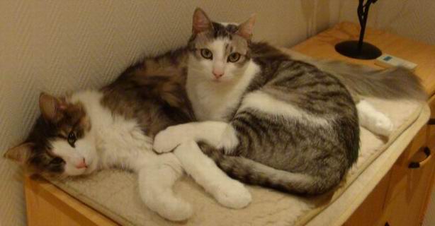 copyright: Doris & Jochen