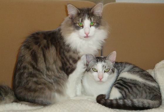 copyright: Doris & Jochen