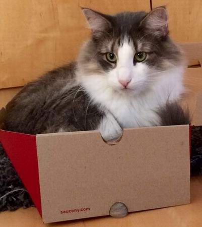 copyright: Doris & Jochen