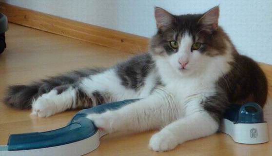 copyright: Doris & Jochen