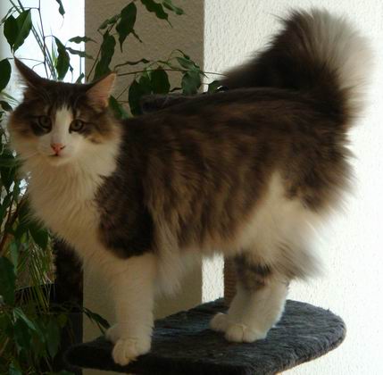 copyright: Doris & Jochen