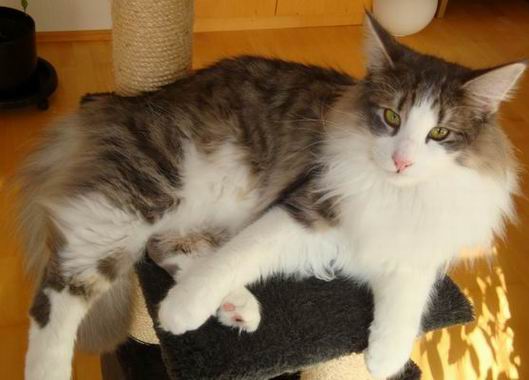 copyright: Doris & Jochen