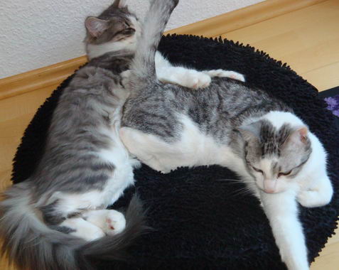 copyright: Doris & Jochen