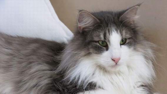 copyright: Doris & Jochen