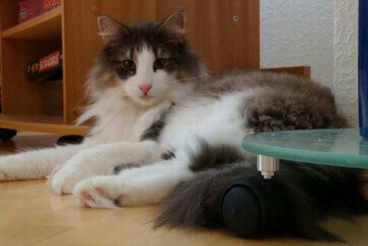 copyright: Doris & Jochen