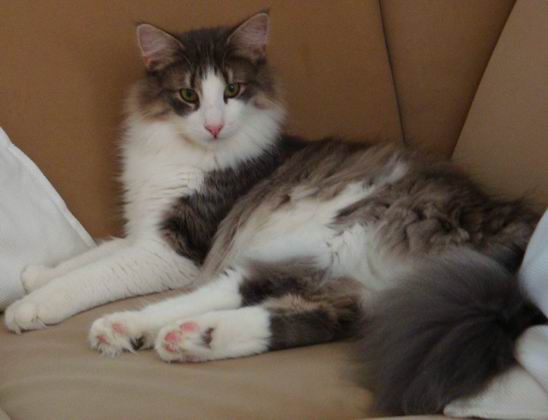 copyright: Doris & Jochen