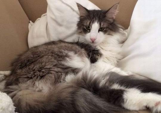 copyright: Doris & Jochen