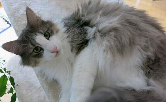 copyright: Doris & Jochen