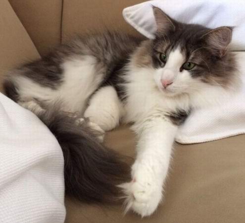 copyright: Doris & Jochen