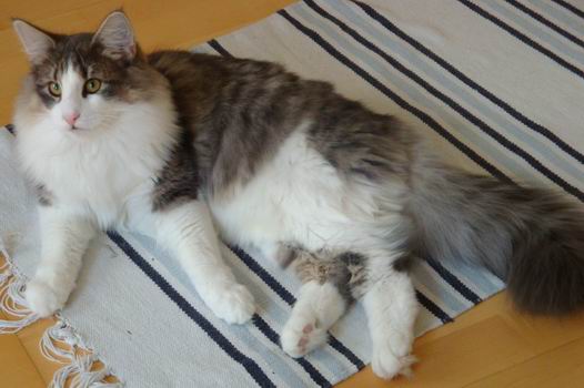 copyright: Doris & Jochen