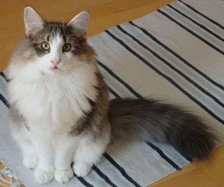 copyright: Doris & Jochen