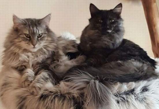 copyright: Jana & Ben