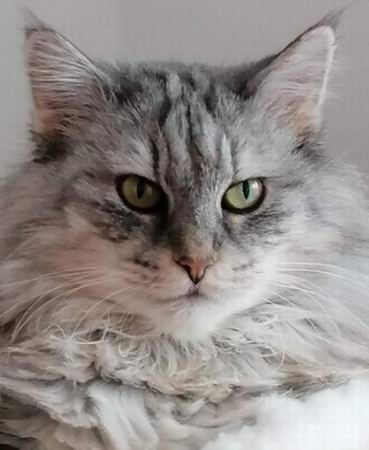 copyright: Jana & Ben