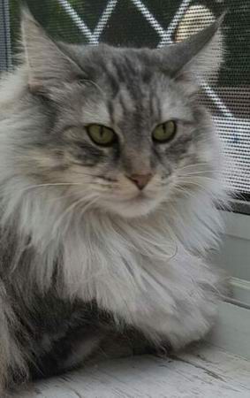 copyright: Jana & Ben