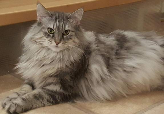 copyright: Jana & Ben