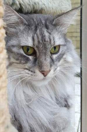 copyright: Jana & Ben