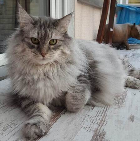 copyright: Jana & Ben